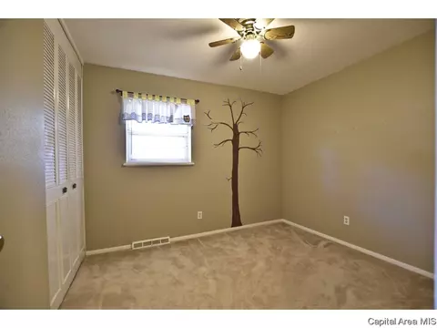 208 Stutely Ln, Springfield, IL 62704 photo 15