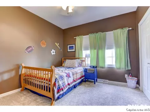 2909 Ladera Dr, Springfield, IL 62711 photo 29