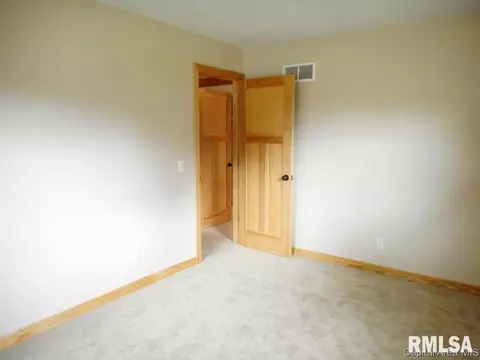 101 Brookview Ct, Abingdon, IL 61410 photo 13