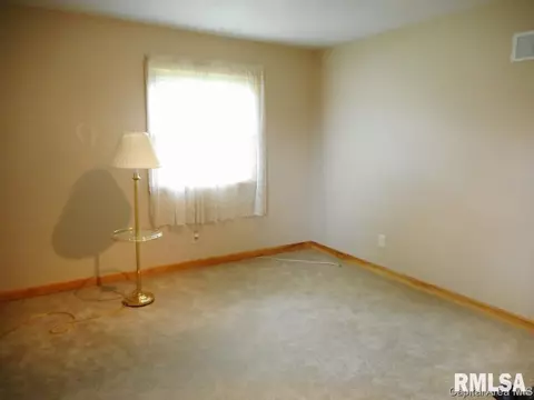 101 Brookview Ct, Abingdon, IL 61410 photo 9