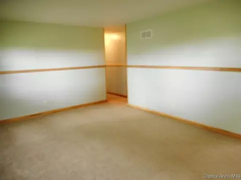 101 Brookview Ct, Abingdon, IL 61410 photo 4