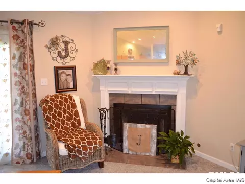 41 Royal Rd, Springfield, IL 62702 photo 25