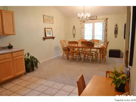 41 Royal Rd, Springfield, IL 62702 photo 7