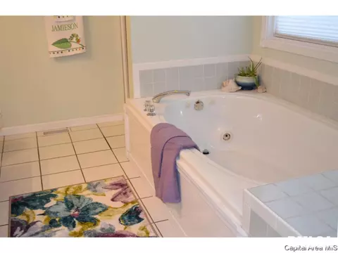 41 Royal Rd, Springfield, IL 62702 photo 12