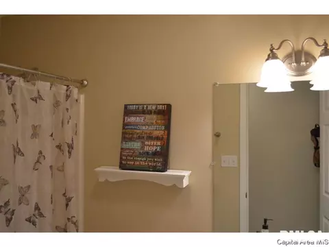 41 Royal Rd, Springfield, IL 62702 photo 21