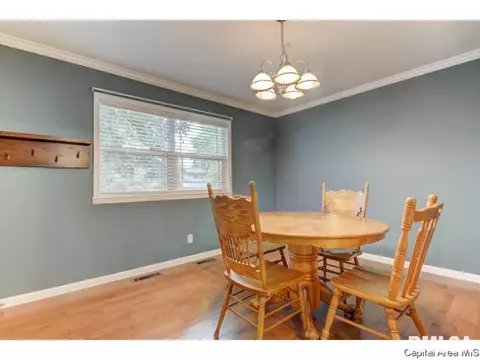 6 Royal Rd, Springfield, IL 62702 photo 13