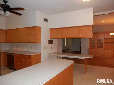 2436 Knox Rd 600e, Oneida, IL 61467 photo 17