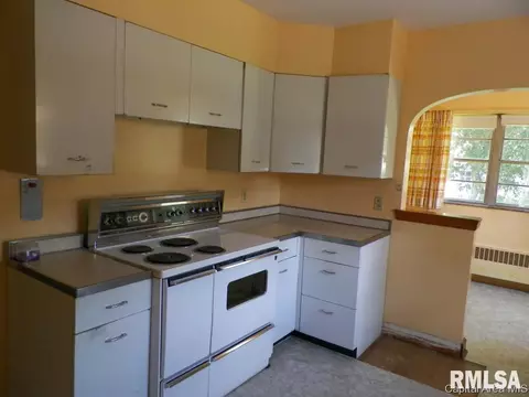 201 E D St, Alpha, IL 61413 photo 18