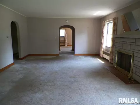 201 E D St, Alpha, IL 61413 photo 14