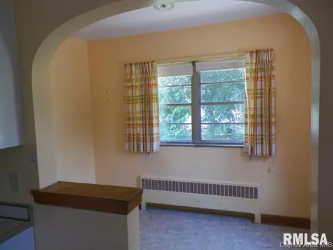 201 E D St, Alpha, IL 61413 photo 19