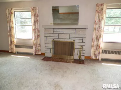 201 E D St, Alpha, IL 61413 photo 12