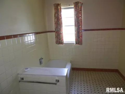 201 E D St, Alpha, IL 61413 photo 23