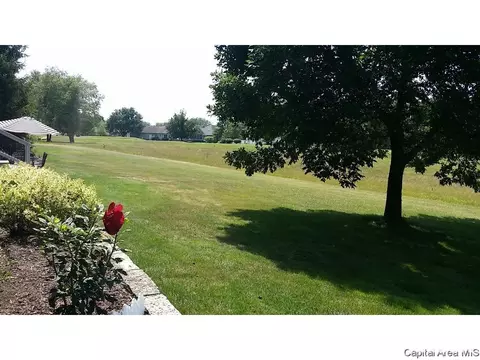 3201 Eagle Watch, Springfield, IL 62711 photo 6