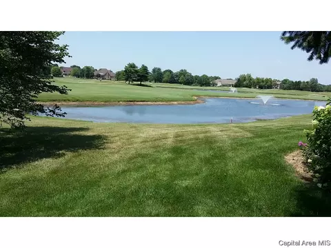 3201 Eagle Watch, Springfield, IL 62711 photo 5