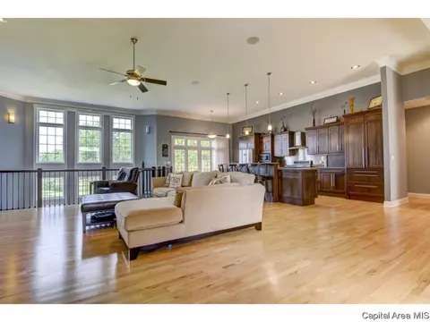4908 Eden Ct, Springfield, IL 62711 photo 10