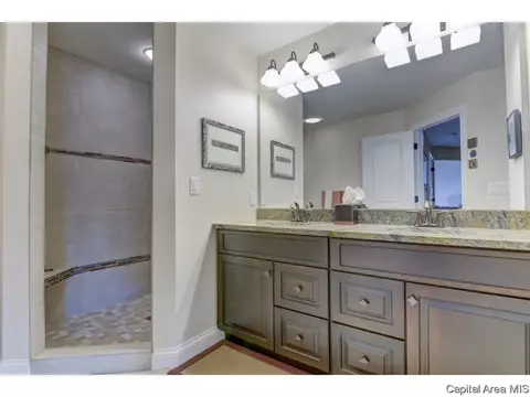 2900 Cronin Dr, Springfield, IL 62711 photo 25