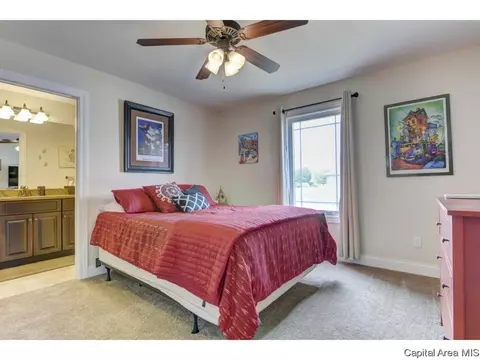 2900 Cronin Dr, Springfield, IL 62711 photo 29