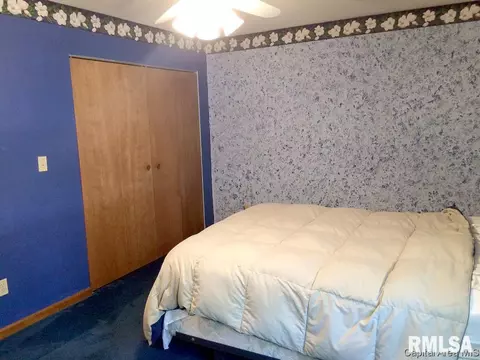 1109 Bolin Ct, Springfield, IL 62703 photo 23