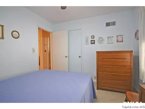 3045 E Trinity Ave, Springfield, IL 62702 photo 12