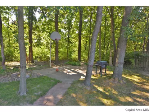 820 Coventry Pt, Springfield, IL 62702 photo 9