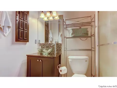 3220 Ellendale, Springfield, IL 62704 photo 21