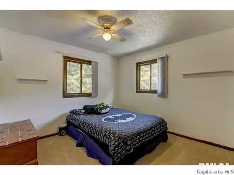 3220 Ellendale, Springfield, IL 62704 photo 16