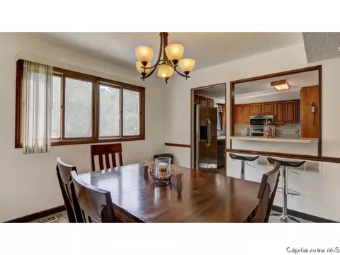 3220 Ellendale, Springfield, IL 62704 photo 5