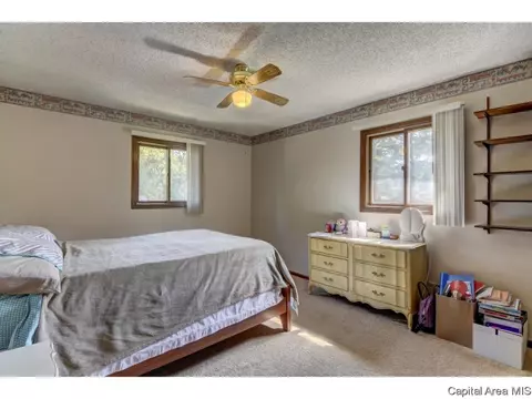 3220 Ellendale, Springfield, IL 62704 photo 13