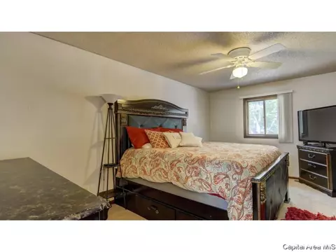3220 Ellendale, Springfield, IL 62704 photo 19