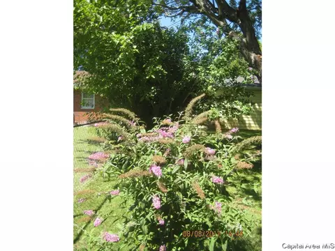 2220 Winnebago Dr, Springfield, IL 62702 photo 18