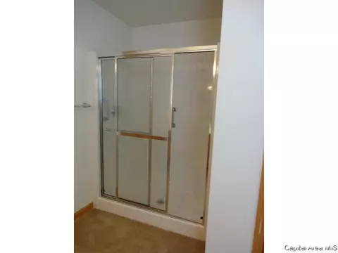 3916 Lear Dr, Springfield, IL 62711 photo 16