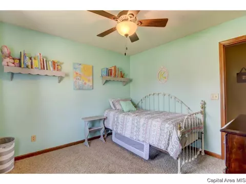 2617 Steiler Pl, Springfield, IL 62703 photo 11
