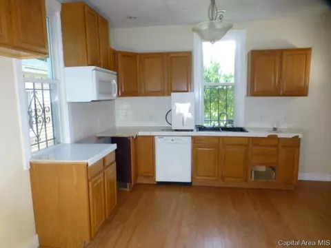 1033 N 4th St, Springfield, IL 62702 photo 9