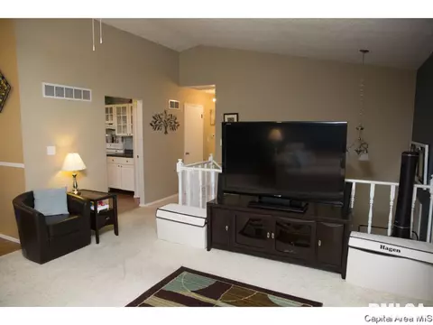 205 Westbrook Dr, Springfield, IL 62702 photo 13