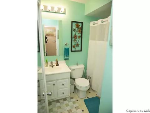205 Westbrook Dr, Springfield, IL 62702 photo 18