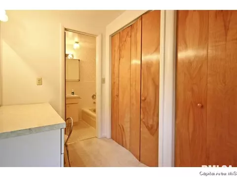 811 Kenyon Dr, Springfield, IL 62704 photo 20