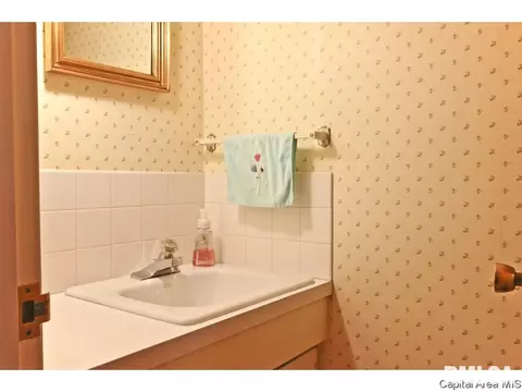 811 Kenyon Dr, Springfield, IL 62704 photo 30