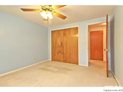 811 Kenyon Dr, Springfield, IL 62704 photo 22