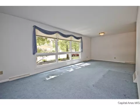 811 Kenyon Dr, Springfield, IL 62704 photo 3