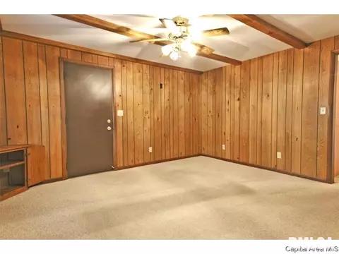 811 Kenyon Dr, Springfield, IL 62704 photo 13