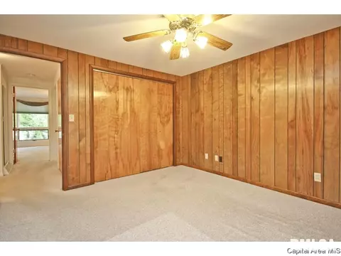 811 Kenyon Dr, Springfield, IL 62704 photo 28