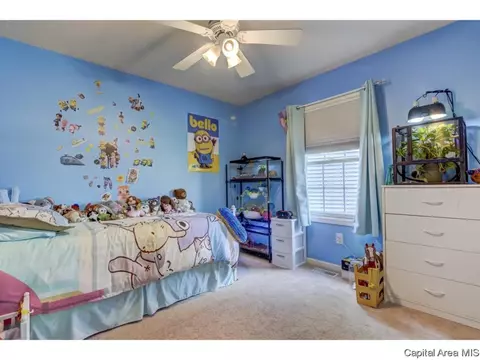 2916 Andy Rd, Springfield, IL 62702 photo 22