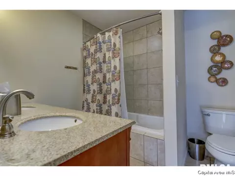2916 Andy Rd, Springfield, IL 62702 photo 19