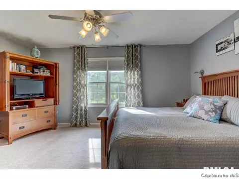 2916 Andy Rd, Springfield, IL 62702 photo 16