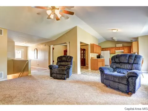 3825 Carney Blvd, Springfield, IL 62712 photo 12