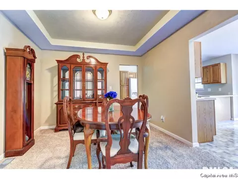 3825 Carney Blvd, Springfield, IL 62712 photo 17