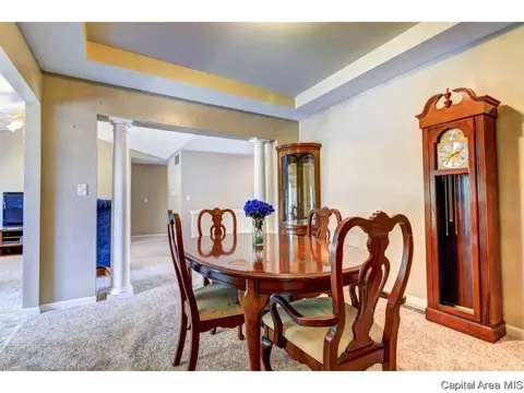 3825 Carney Blvd, Springfield, IL 62712 photo 16
