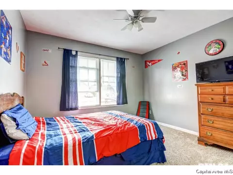 3825 Carney Blvd, Springfield, IL 62712 photo 23