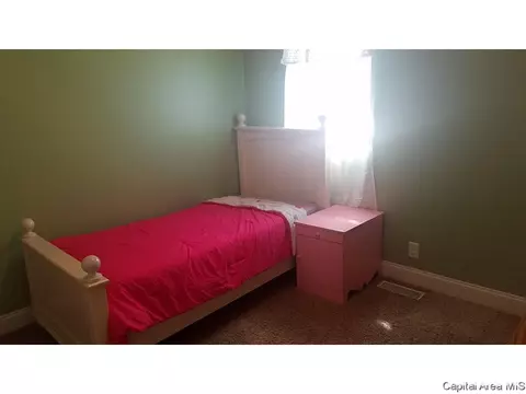 146 E Spruce St, Virden, IL 62690 photo 9