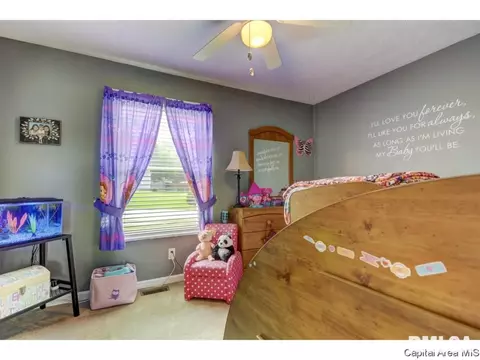 1601 Brenda Ct, Springfield, IL 62702 photo 21